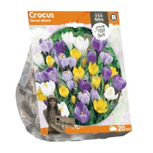 Baltus Crocus Vernus Mixed bloembollen per 20 stuks